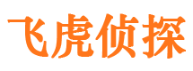 宿松出轨调查